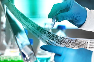 2019年，教育咨询服务公司经营范围的“黄金写法”，让你赚翻的秘诀